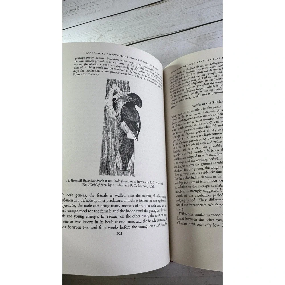 Ecological Adaptations for Breeding in Birds David Lack 1968 First Edition